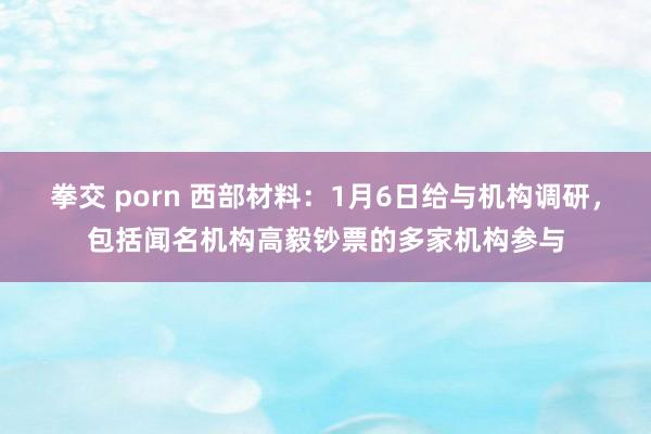 拳交 porn 西部材料：1月6日给与机构调研，包括闻名机构高毅钞票的多家机构参与