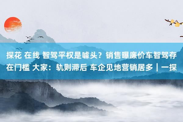 探花 在线 智驾平权是噱头？销售曝廉价车智驾存在门槛 大家：轨则滞后 车企见地营销居多︱一探