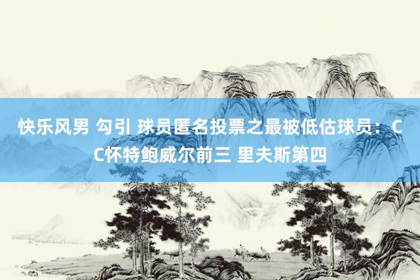 快乐风男 勾引 球员匿名投票之最被低估球员：CC怀特鲍威尔前三 里夫斯第四